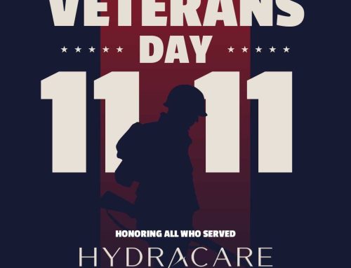 Honoring Veterans with the Gift of Wellness This Veterans Day